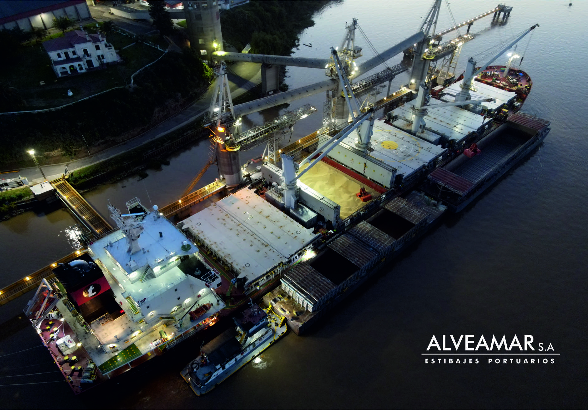 alveamar